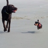 Entry image for Jabba and Schatzi