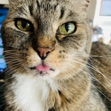 Entry image for Amelia (Mimi) 