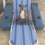 Entry image for Henry Smith