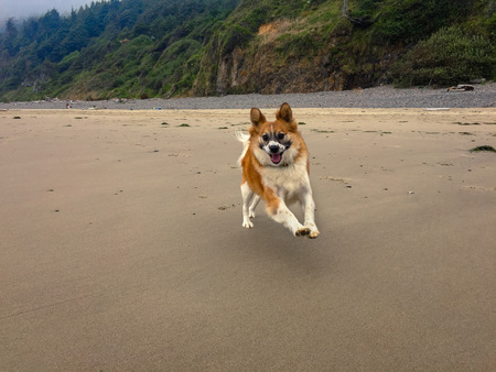 Entry image for Esteban. Clicking this image will show a larger photo