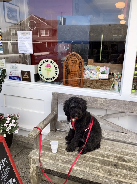 Entry image for Sebastian Winston. Clicking this image will show a larger photo