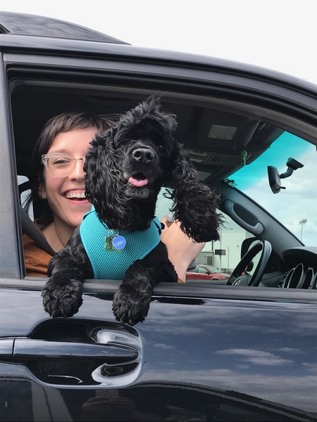 Entry image for Bubba Garklavs Saul . Clicking this image will show a larger photo