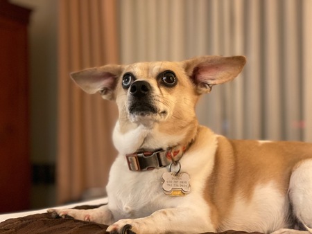 Entry image for Dugan Nash Garklavs Saul. Clicking this image will show a larger photo