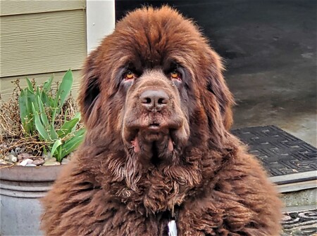 Entry image for Byron. Clicking this image will show a larger photo