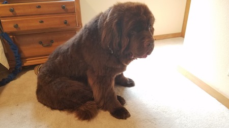 Entry image for Jack. Clicking this image will show a larger photo