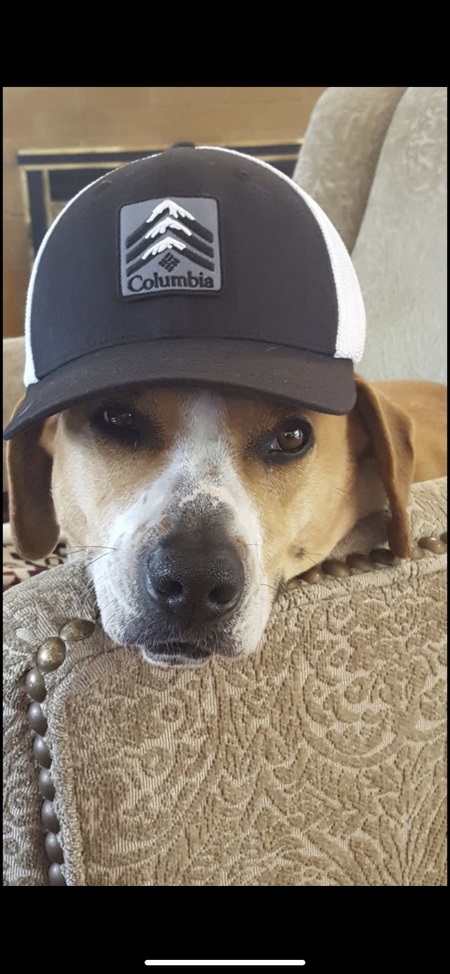 Entry image for Jasmine . Clicking this image will show a larger photo