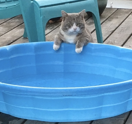 Entry image for Jasper . Clicking this image will show a larger photo