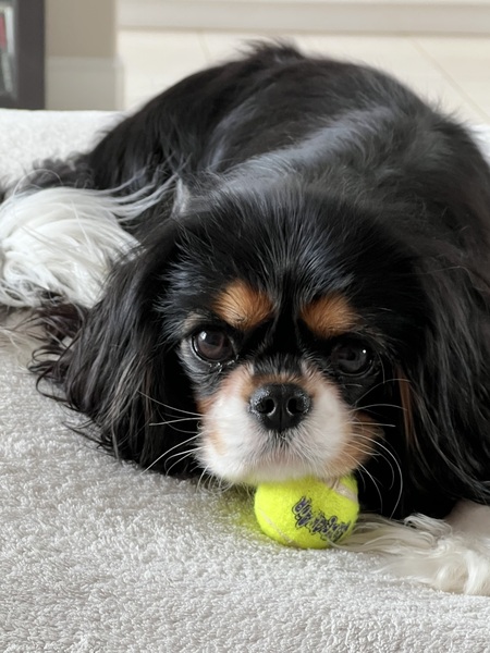 Entry image for Betty. Clicking this image will show a larger photo