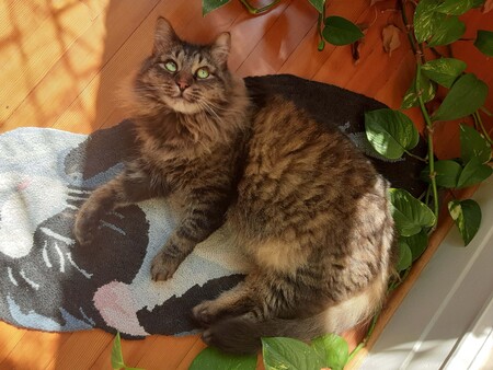 Entry image for York. Clicking this image will show a larger photo