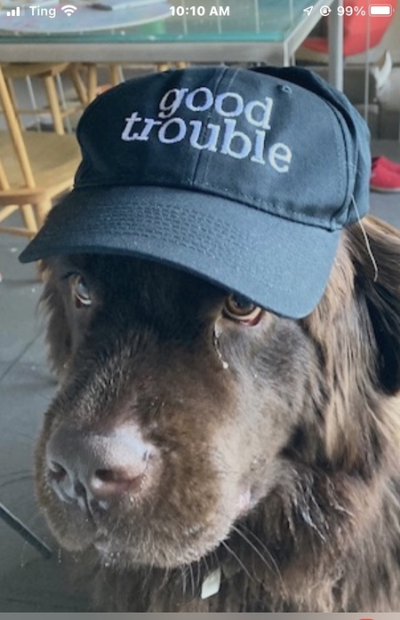 Entry image for Siobhan. Clicking this image will show a larger photo