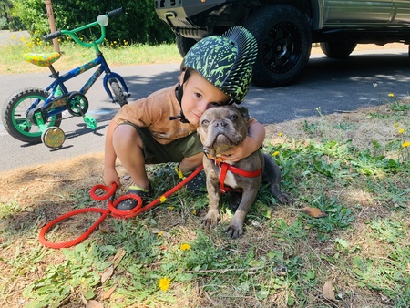 Entry image for Queenie. Clicking this image will show a larger photo