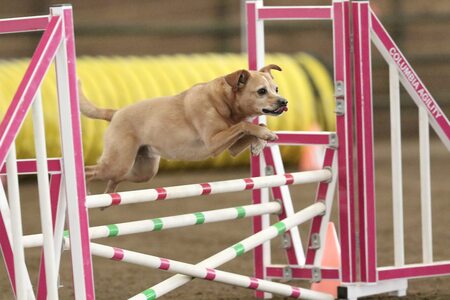 Entry image for Winthrop. Clicking this image will show a larger photo