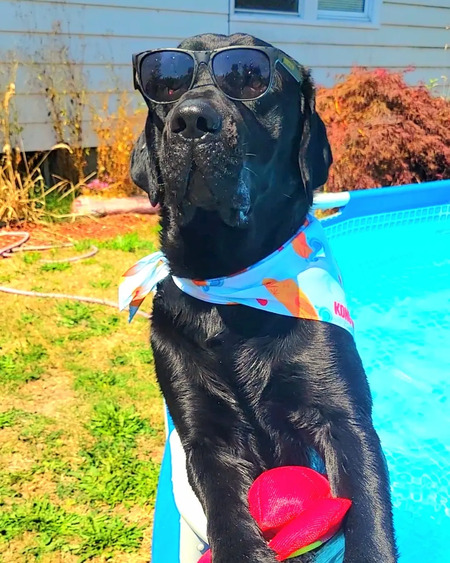 Entry image for Bentley . Clicking this image will show a larger photo