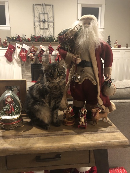 Entry image for Chet. Clicking this image will show a larger photo