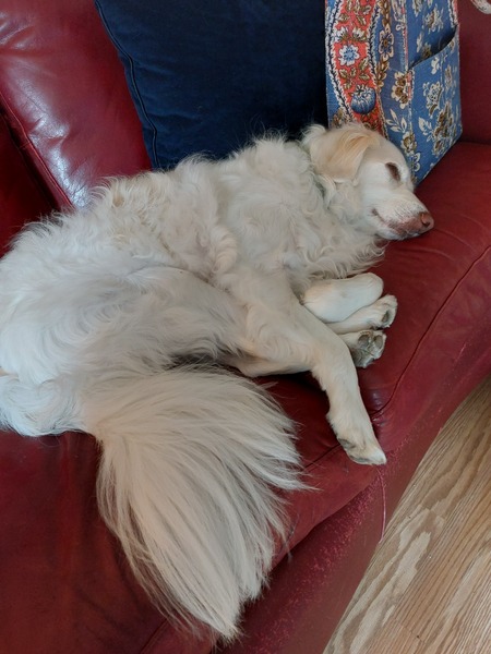 Entry image for Ryder Lee Rodgers. Clicking this image will show a larger photo