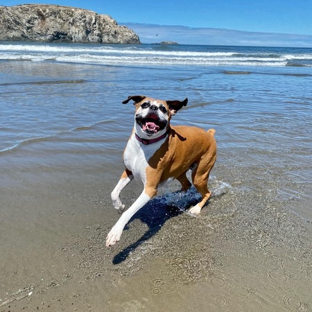 Entry image for MissyMoo. Clicking this image will show a larger photo