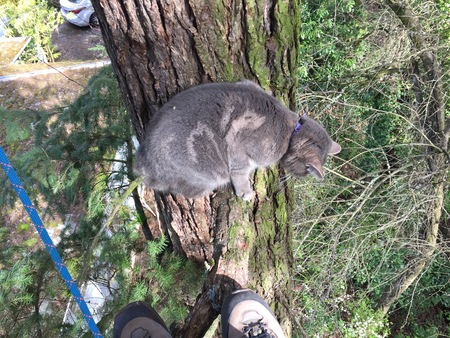 Entry image for Bob. Clicking this image will show a larger photo