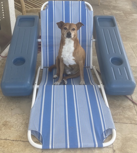 Entry image for Henry Smith. Clicking this image will show a larger photo