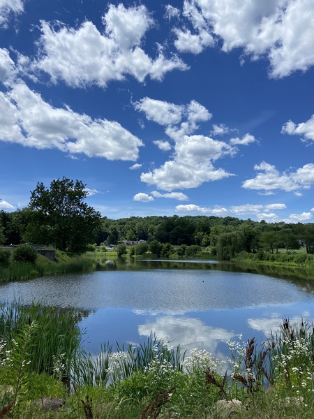 Reflection of the Sky