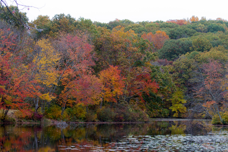 Autumn Hike