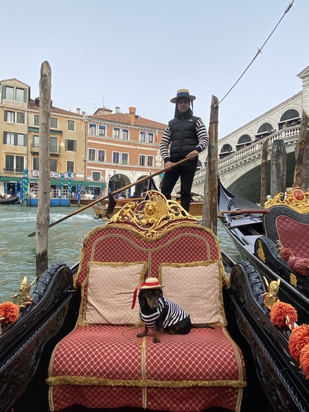 Marcello 