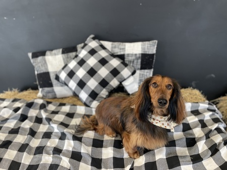 Otis
