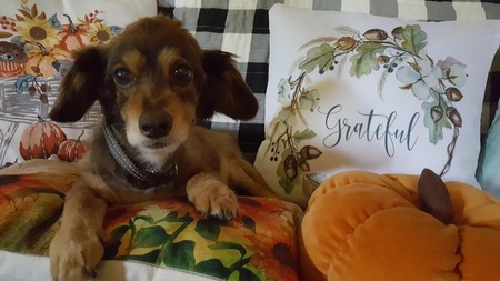 Otis