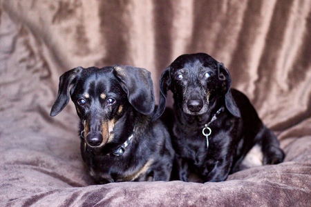 Bentley & Jester