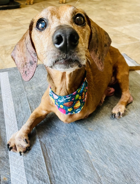 Oscar