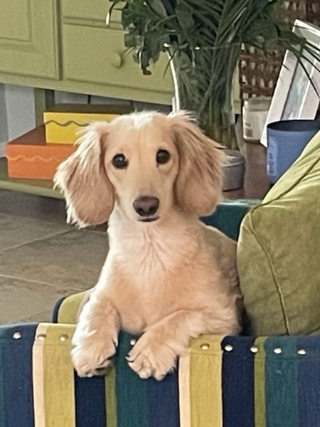Wendell