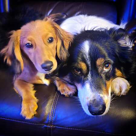 Gracie & Foose