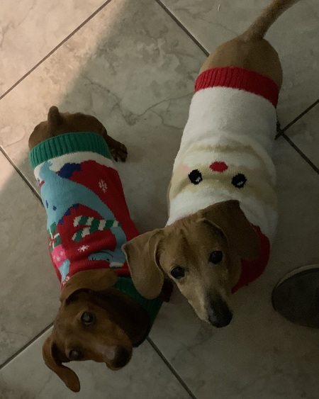 Lilly & Sully