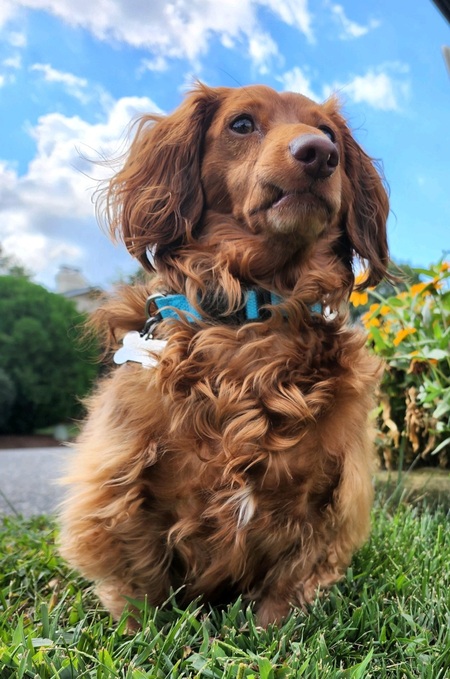 Oliver