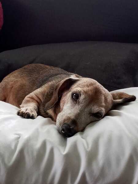 Abby