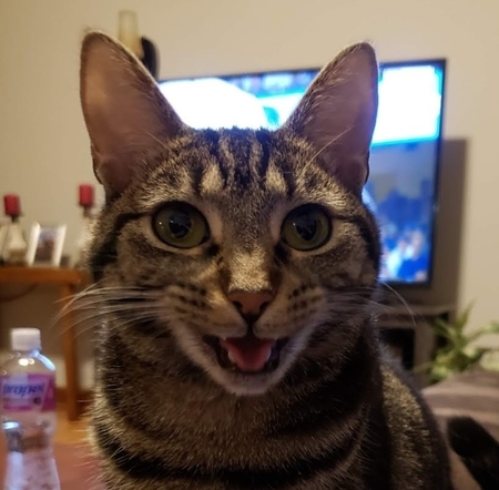 Nutmeg