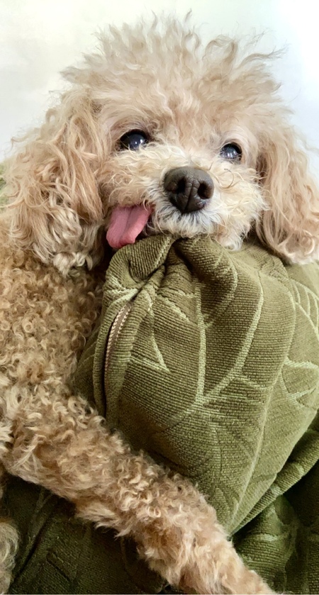 Luca