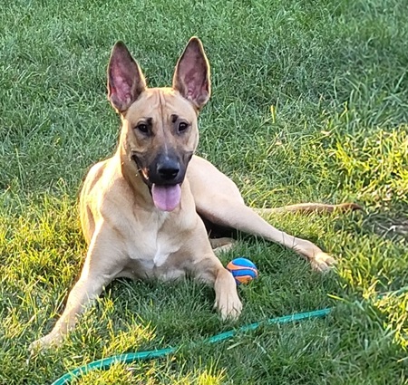 Winnie