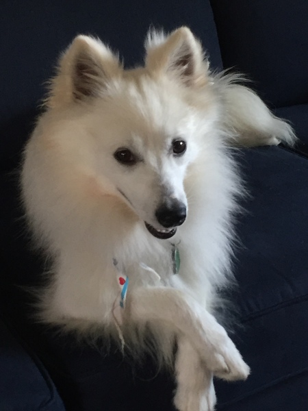 Jax