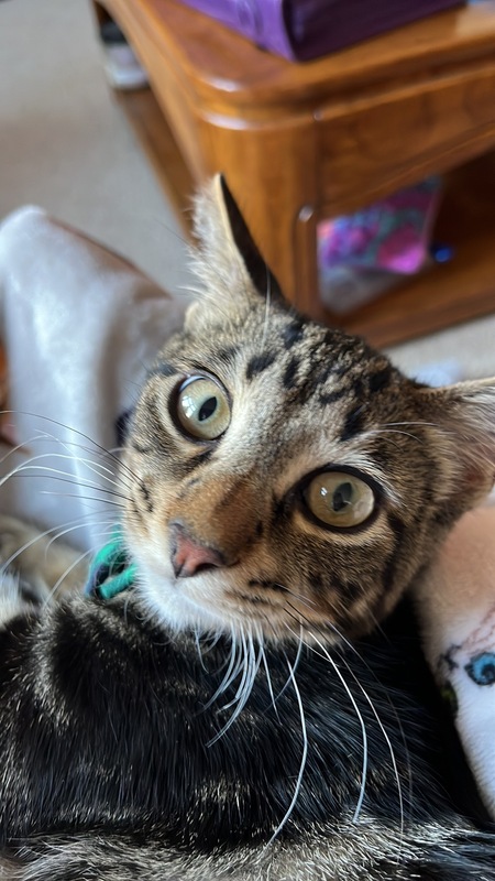 Max
