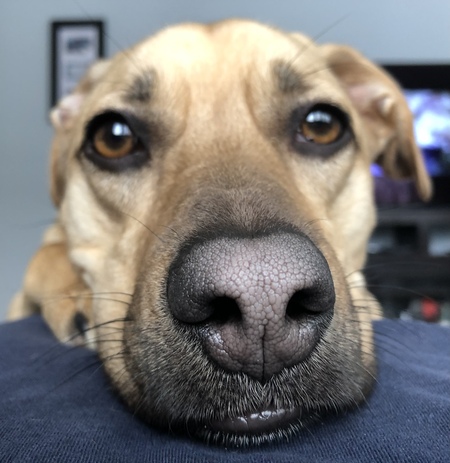 Tilly