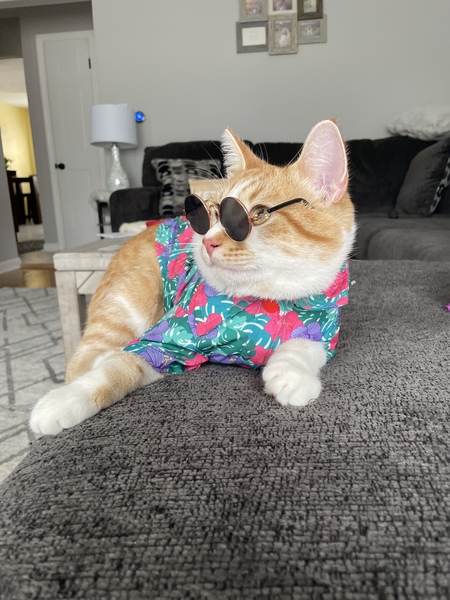 Franklin