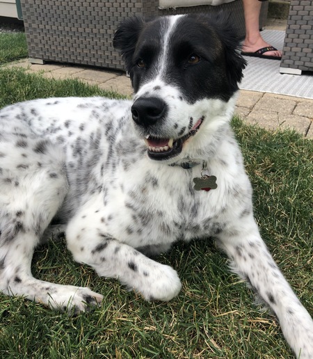 Murphy