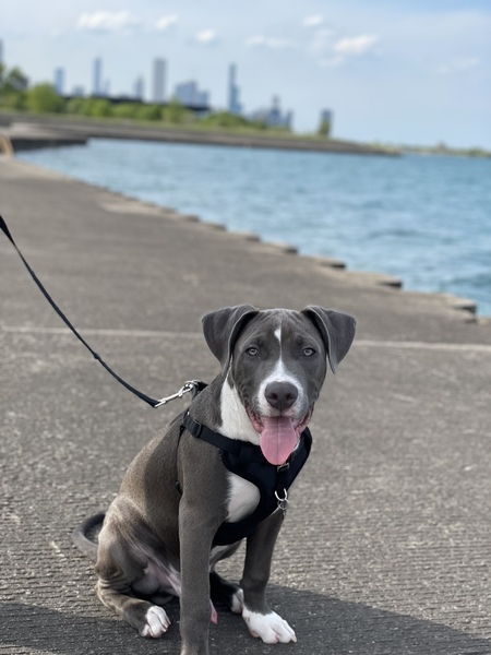 Duke