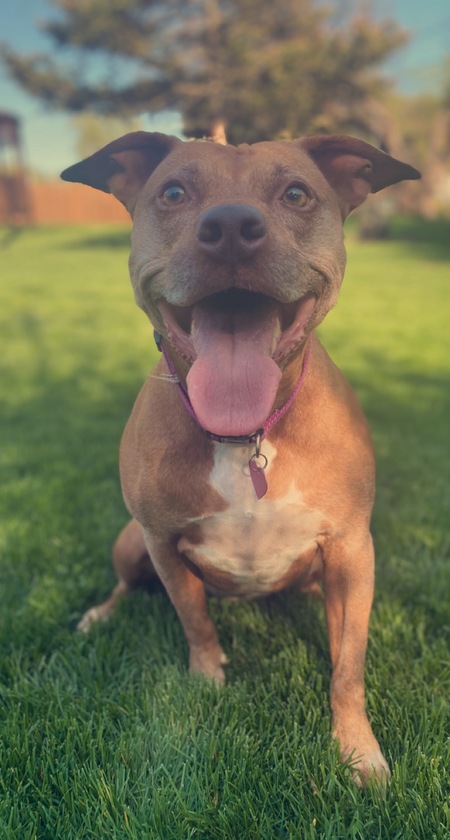 Zora