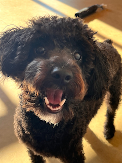 Roscoe