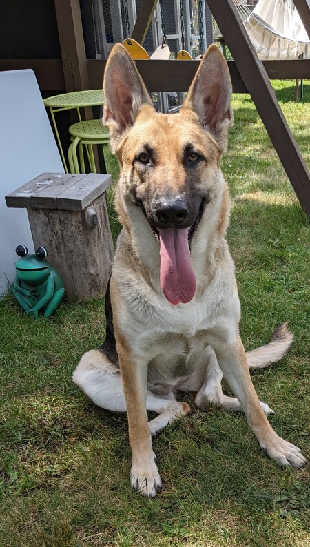 Athena