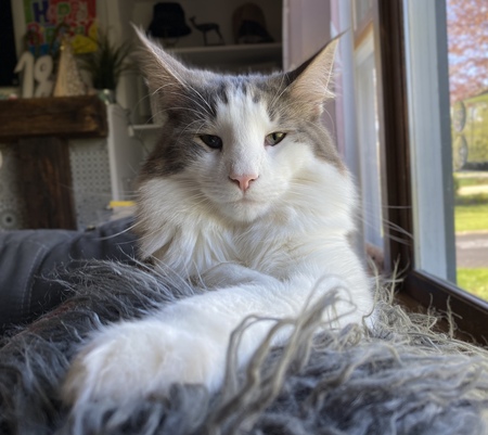 Eddie “The Boss” 