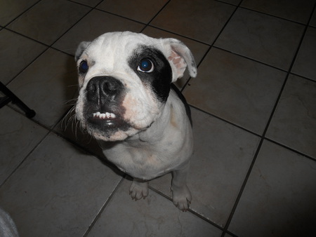 Maggie Mae