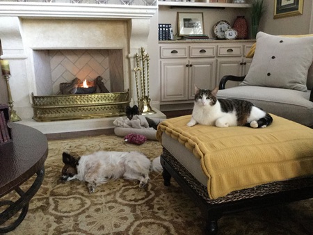Justin, Daisy and Bennie