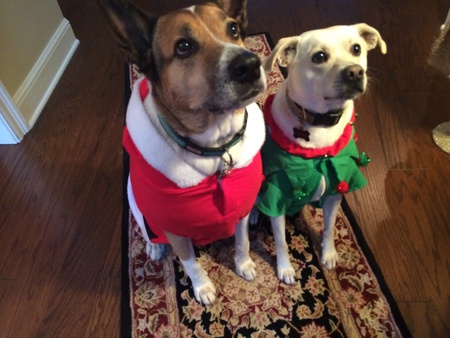 Buddy and Aspen